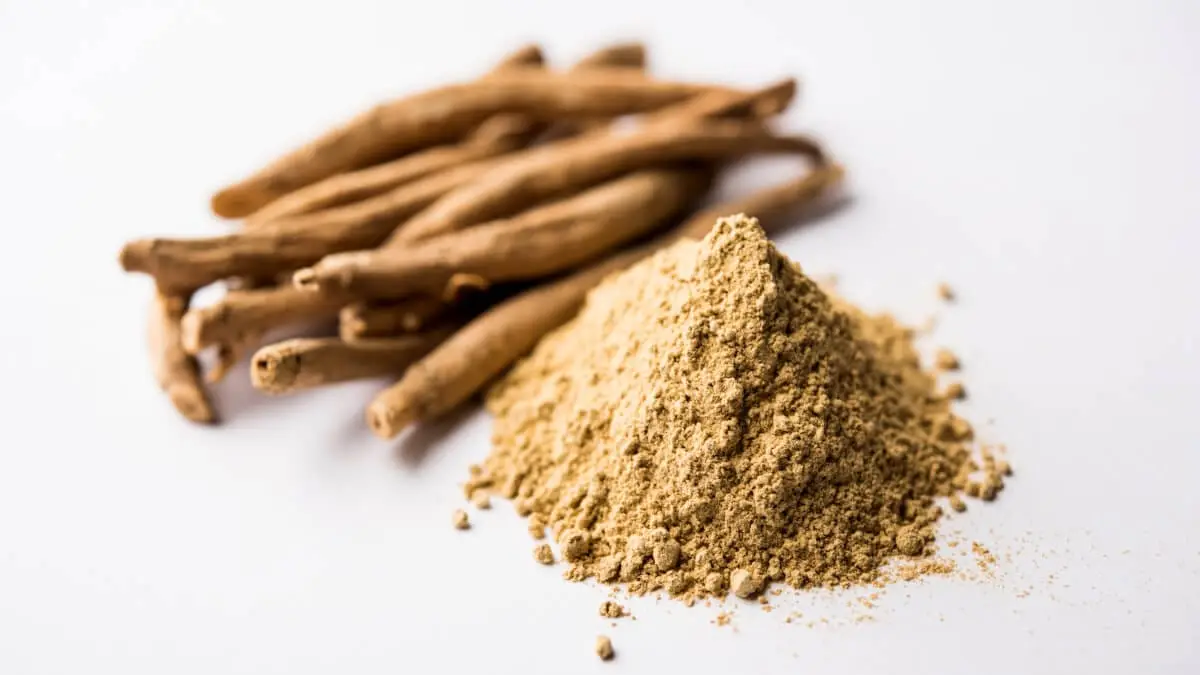 Vad är ashwagandha och varför är det så populärt
