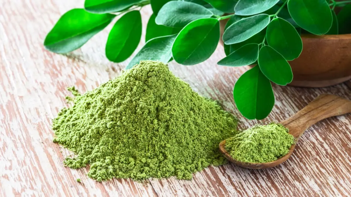 Moringa