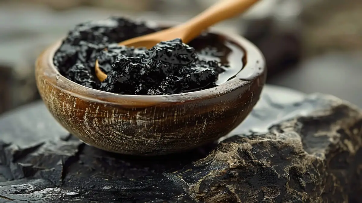 Så fungerar shilajit